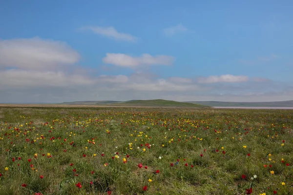 C bozkır parçası baharda bulutlarda hareketi