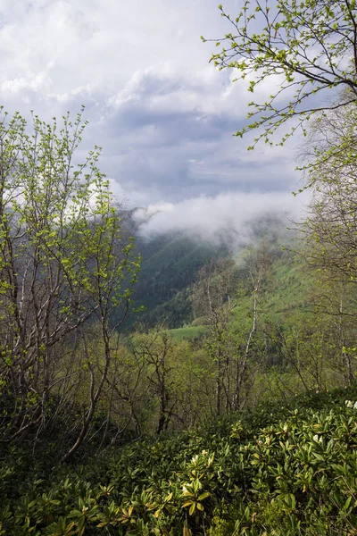 Nuages au-dessus de la montagne Petite Thach — Photo