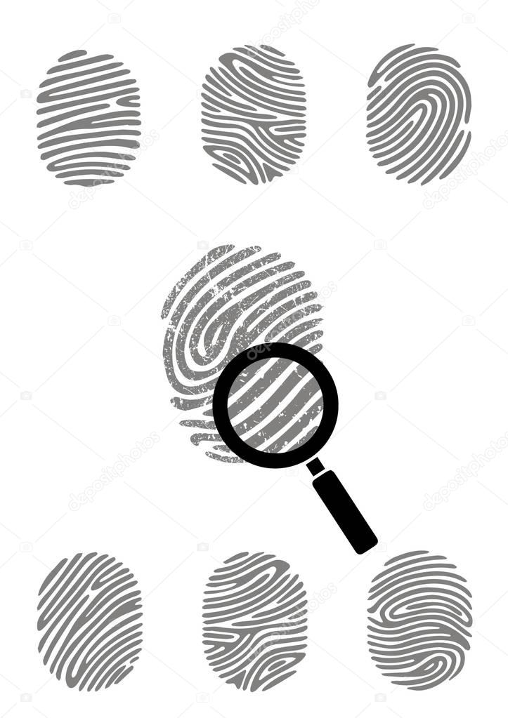 Fingerprint detective loop