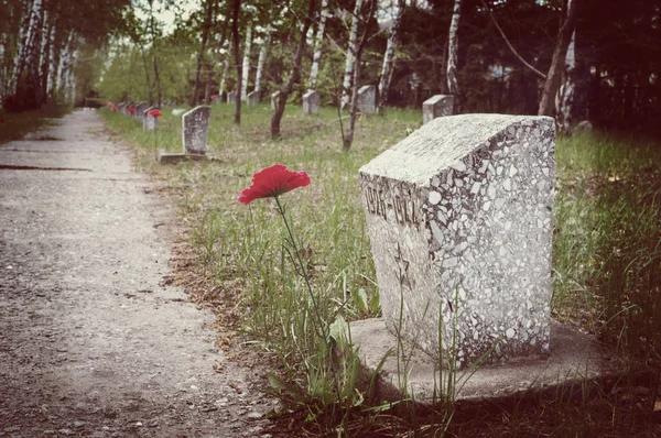 Il monumento ai caduti della seconda guerra mondiale con i colori assegnati . — Foto Stock