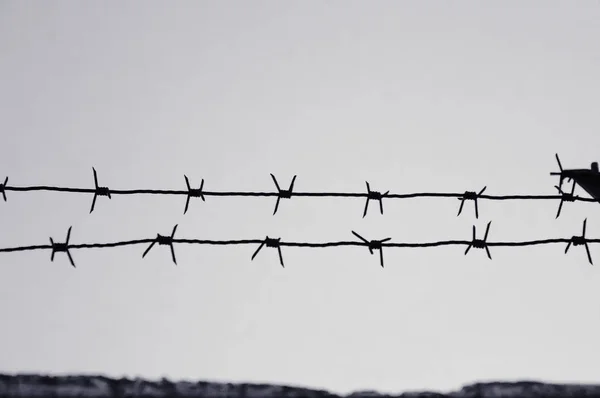 Dangerous barbed wire to demarcate the prison camp — Stock Photo, Image