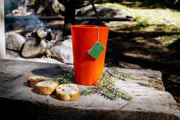 Ormanda sıcak içecek. Ormanda piknik — Stok fotoğraf