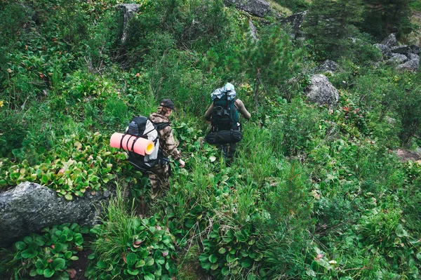Φίλοι περπατούν με Σακίδια στο δάσος από πίσω — Φωτογραφία Αρχείου