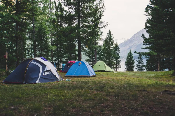 Um número de tendas em pé em um prado na floresta — Fotografia de Stock