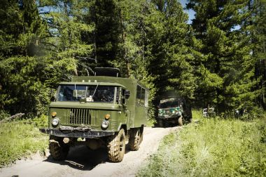 Military vehicle in the forest, clipart