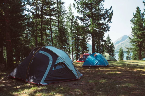 Tente touristique blanche dans une forêt — Photo