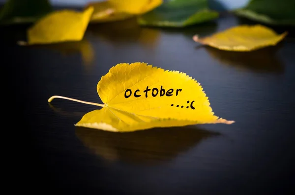 Felirat esik a sárga lehullott levél őszi koncepció — Stock Fotó