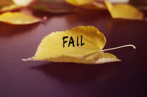 Надпись падает на желтый опавший лист осенней концепции — стоковое фото