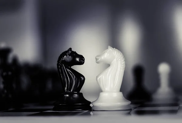 Cavaleiros de xadrez cabeça a cabeça . — Fotografia de Stock