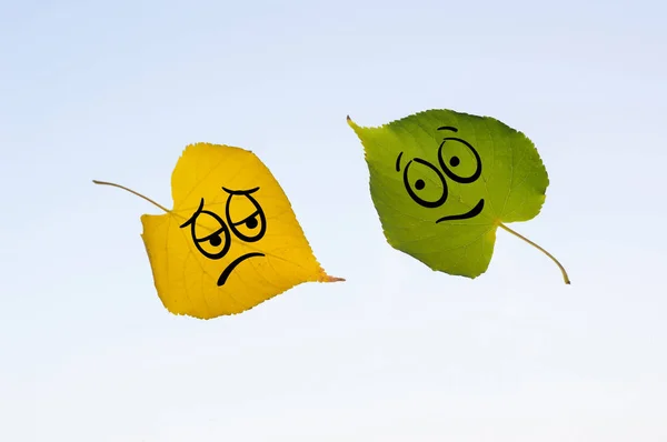 Green and yellow leaves with a picture of happy and sad faces — Stock Photo, Image