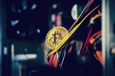 Altın Bitcoin holding
