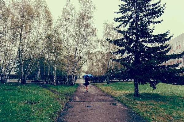 덤 불에서 녹색 골목을 따라 산책 하는 소녀 — 스톡 사진