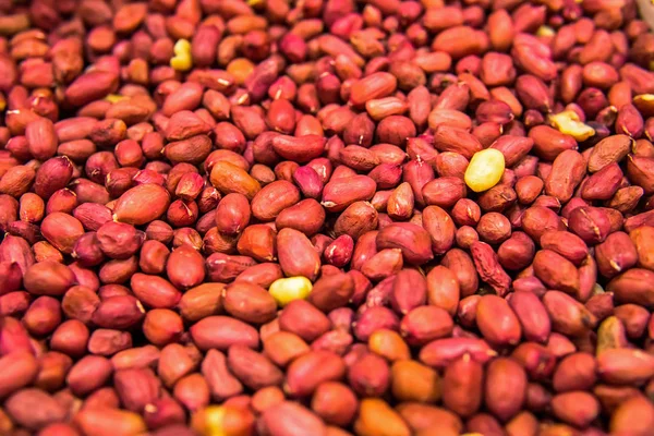 Red grain peanut
