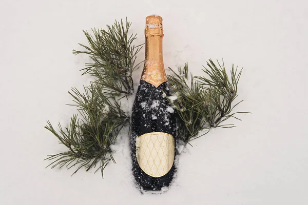 Шампанское, рождественский декор и подарочная коробка на снегу и елке с копировальным пространством — стоковое фото