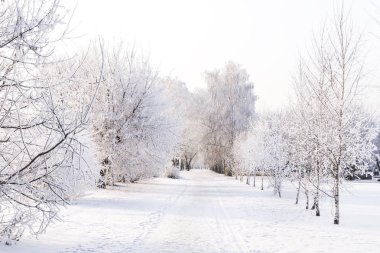 Halk parkı kışın yoğun kar yağışı sonra