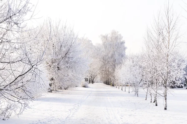 Halk parkı kışın yoğun kar yağışı sonra