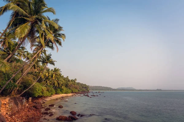 Όμορφη θέα της παραλίας κοντά στον ωκεανό και την παλάμη δένδρων στην Γκόα, Ινδία — Φωτογραφία Αρχείου