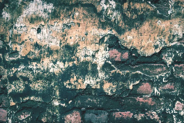 Parede de tijolo velho com fundo textura Moss — Fotografia de Stock