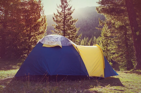 Aventuras Acampar e tenda sob — Fotografia de Stock