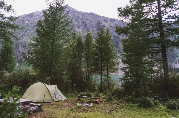 숲에 하얀 여행용 텐트 — 스톡 사진