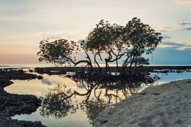 Güzel gün batımı ada, Andaman ve Nicobar, Hindistan