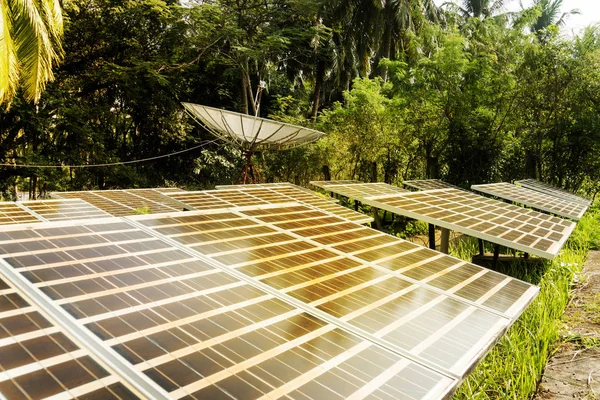 Large solar panels in the rainforest.