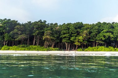 Radhanagar Beach Havelock adada görünümünü çarpıcı.