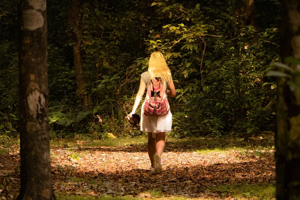 Νεαρή γυναίκα με σακίδιο μέσα από ένα δάσος. πεζοπορία κατά τους θερινούς μήνες. — Φωτογραφία Αρχείου