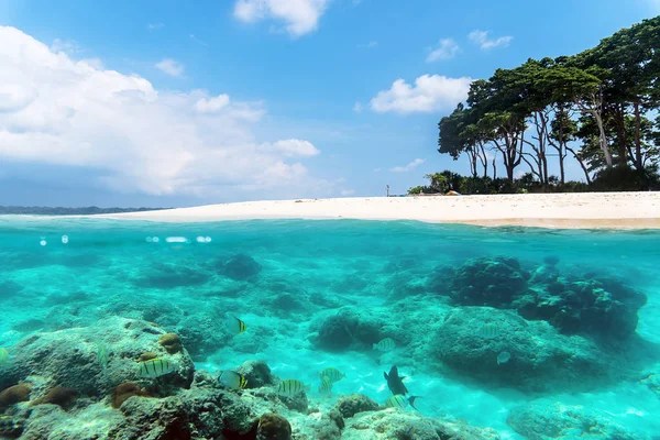 Andaman και Nicobar νησιά. Η έννοια της κολύμβησης με αναπνευστήρα και καταδύσεις — Φωτογραφία Αρχείου