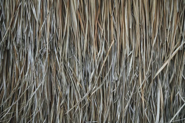 A thatched roof, hay or dry grass background. Grass hay, roof texture. Dry straw, roof background texture. Abstract background by dry and yellow grass. — Stock Photo, Image