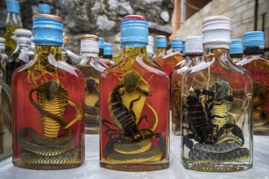 Yasak hatıra Laos Snake Whiskey, viski şişelerinde yılanlar, Laos, Asya