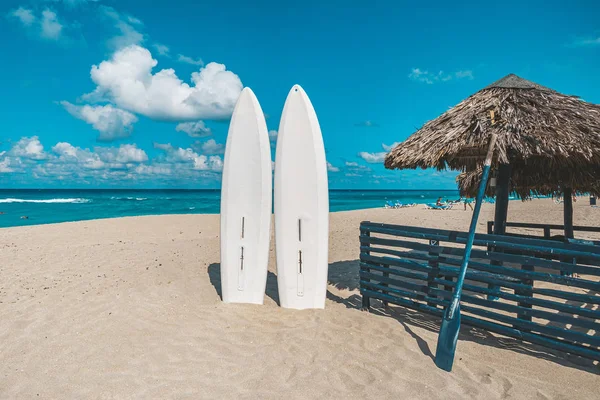 Stand up paddle long boards surfboard stuck in sand on Beach. standup paddleboarding are at sea. Tourist attractions in Varadero.