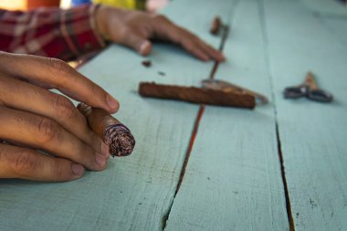 Adam elinde puro tutuyor. Kovboy ev yapımı puro içiyor. Tehlikeli alışkanlıklar. Adam tütün yaprağını puroya sarar..