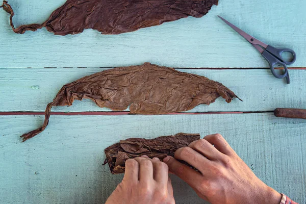 Cuban cowboy is making a cigar for tourists. Closeup of hands making cigar from tobacco leaves. Traditional manufacture of cigars. view from the top. — Stock Photo, Image