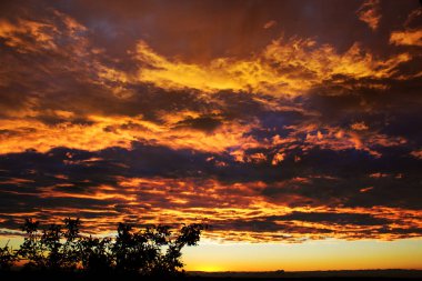 Dramatik bulutlar üzerinde çıplak bir treel gün batımında çok güzel bir renk açmak