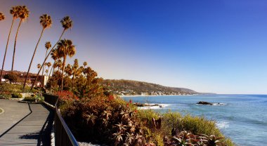 Beach Laguna Beach California Usa.