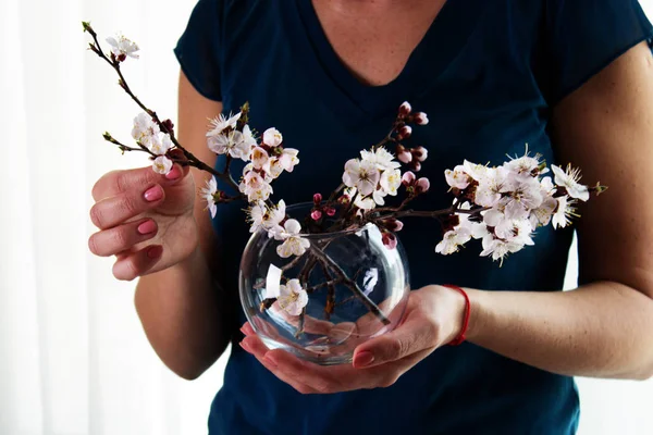 Kvinnors händer, hålla glasvas med våren blombukett — Stockfoto