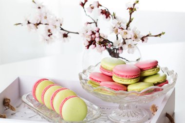acıbadem kurabiyesi renkli doku. Tatlı macarons ve çiçekler.