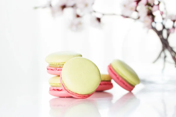Macaroon colourful texture. Sweet macarons and flowers. — Stock Photo, Image