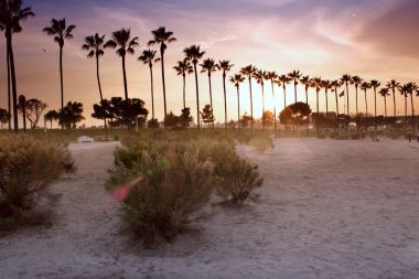 Akşam güneşi bulutlu gökyüzü karşı ışıklı palmiye ağaçları.