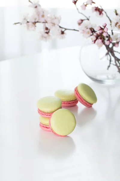 A french sweet delicacy macaroons variety closeup.macaroon colou — Stock Photo, Image