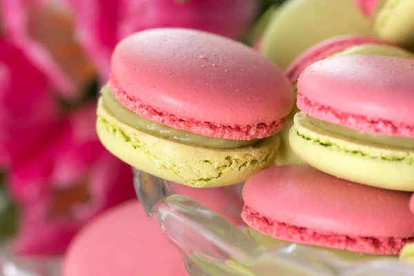 French Sweet Delicacy Macaroons Variety Closeup Macaroon Colourful Texture Sweet — Stock Photo, Image