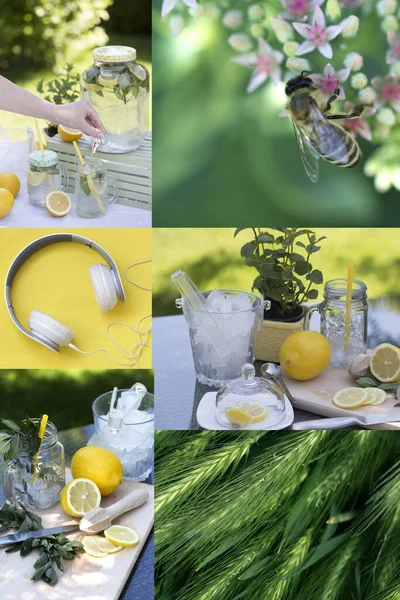 Summer collage. collage with fresh lemonade. lemonade drink. — 스톡 사진
