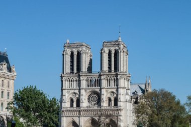 Paris - Cathedrale Notre Dame