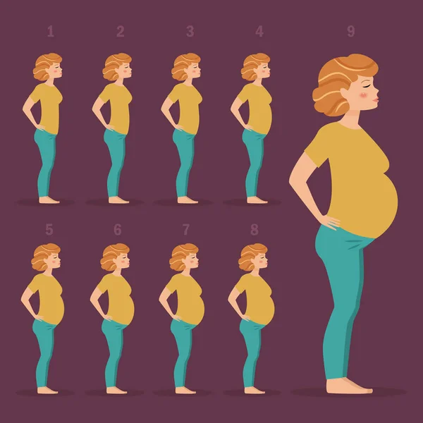 Neuf mois de grossesse — Image vectorielle