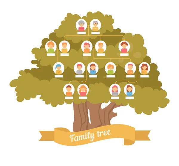ต้นไม้ครอบครัว เจนเนอรัล — ภาพเวกเตอร์สต็อก