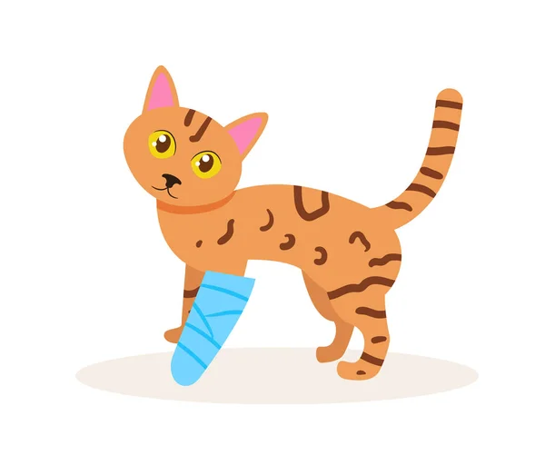 足の骨折ベクトルを持つ猫。漫画 — ストックベクタ
