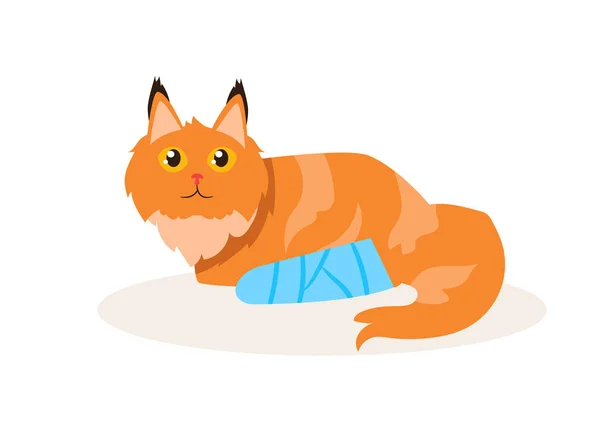 足の骨折ベクトルを持つ猫。漫画 — ストックベクタ