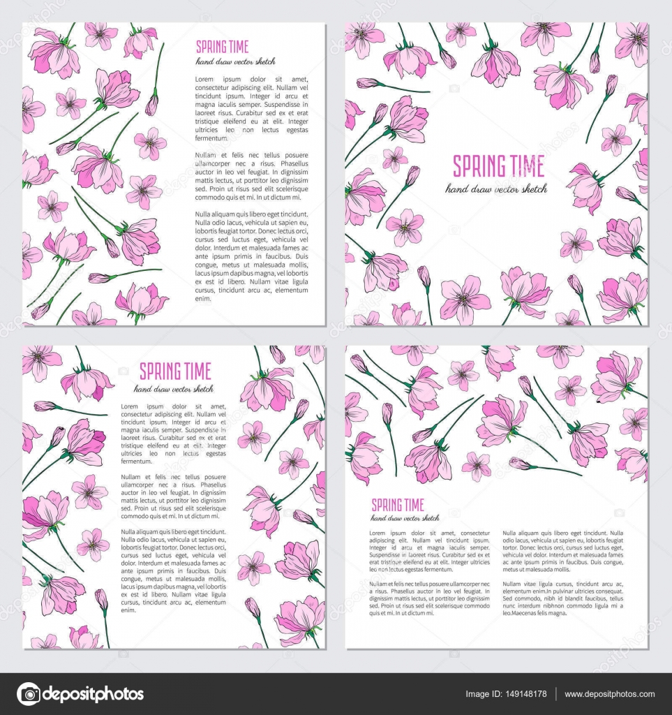 Vettoriale rosa sakura Apple fiore fiore colorati disegnati a mano illustrazione isolato su sfondo bianco cornici decorative bordo floreale per la
