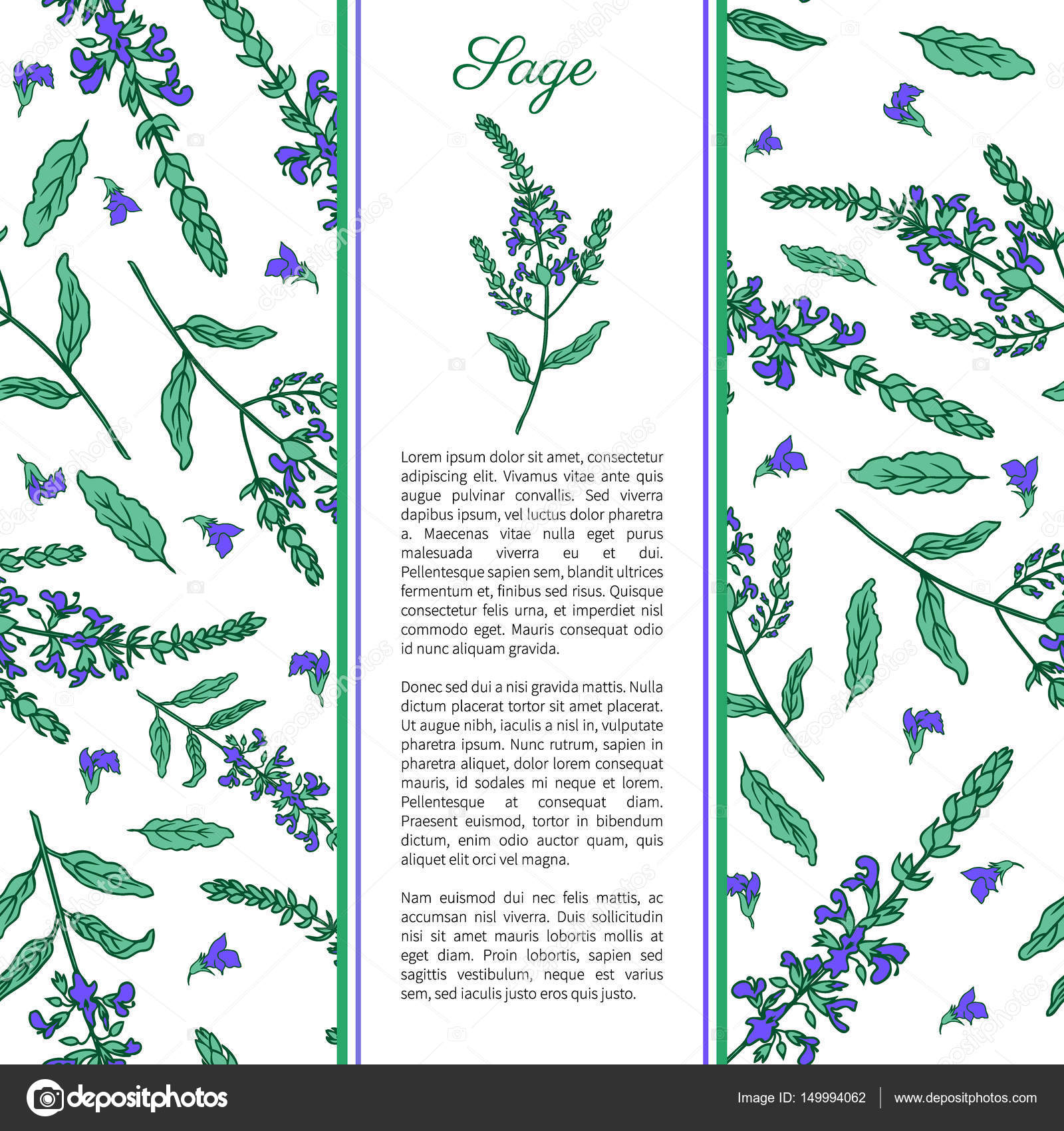 Sage floral banner Stock Vector Image by ©mel 149994062
